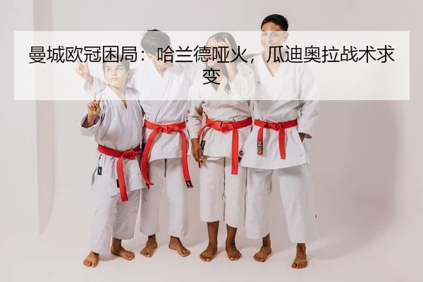 man-cheng-ou-guan-kun-ju-ha-lan-de-ya-huo-gua-di-ao-la-zhan-shu-qiu-bian-2-955.jpg